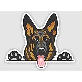 AK- German Shepherd Decal - Funny Peeking Smiling Dog Bumper Sticker for Car | Laptop | Van | Trucks | Motorcycle | Bumper | Window Any Smooth Surface Size: 5"