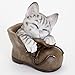 Bits and Pieces - Cat in A Shoe Polyresin Garden Sculpture - Decorative Yard Art Accent for Outdoors Lawn and Patio Décor, Backyard Sculpture, and Decoration