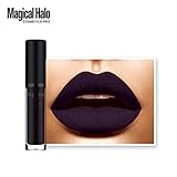 Bolayu Long Lasting Lip Gloss Lipstick, Waterproof Matte Liquid Lipstick (N)