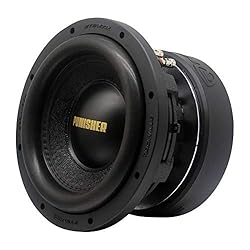 Rockville Punisher 10D 10" 5000w Peak Competition