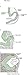 Fundamental Neuroscience