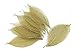 NAVA CHIANGMAI Rubber Tree Leaves - Pack of 100 Skeleton Leaves Decorative DIY Craft , Artificial Leaves Craft Card Scrapbook DIY Handmade Embellishment Decoration Art (Gold)
