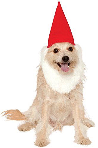 Rubies Costume Company Garden Gnome Hat with Beard for Hats