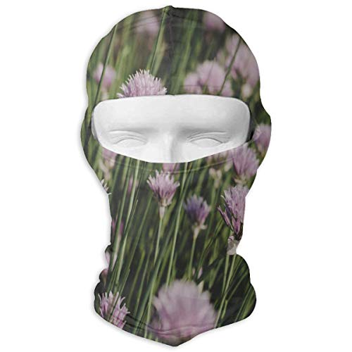 Balaclava Halloween Scarlet Horror Spiderweb Full Face Masks UV Protection Ski Headwear Motorcycle Neck Warmer Tactical Hood for Cycling Outdoor Sports Snowboard Women Men Youth