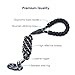 WePet Durable Dog Leash for Medium Large Dogs, Sturdy and Premium Quality Reflective Leashes, Supports Strong Pulling, Comfortable Padded Handle, 6 Feet Slip Rope Lead for Walking and Training, 2 Pack