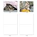 The Best Card Company - 10 Adorable Blank Cat Cards (4 x 5.12 Inch) - Cute Pet Kittens, Assorted Bulk Notecard Set - Cat You See Me Now M1543BN