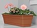 Bloem Dura Cotta Window Box Planter: 18