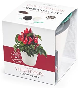 Domestico Chilli Peppers Growing Kit, All-in-One Set - Self-Watering Pot, Seeds, Substrate (White)