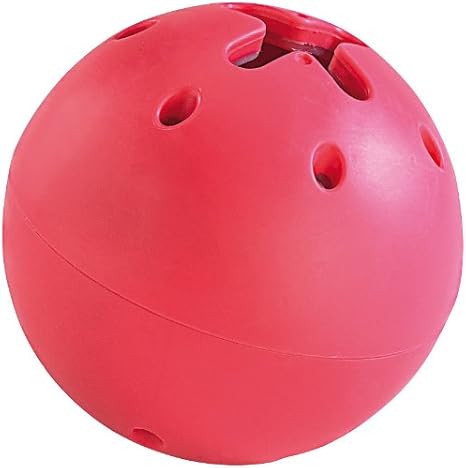 infactory "Sprechender" Hunde-Spielball mit Voice-Recorder: Amazon.de