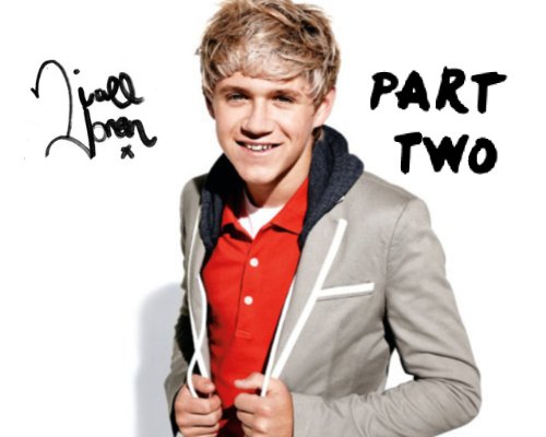 1d in America part 2 (Niall's unofficial diary)