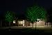 Sparkle Magic Green Laser Light 3.0 Series, Landscape Laser Lights, Christmas Laser Lights by Manufacturer