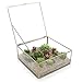 Vintage Brass & Clear Glass Decorative Box, 9.5-Inch Plant Terrarium Display, Jewelry Organizer with Lid