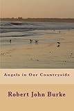 Angels in Our Countryside by Robert John Burke