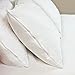 2 Packs Standard Pillow Protector - Waterproof Zippered Encasement Bed Bug Proof Pillow Cover Protects Against Dust Mite, Bacteria, Allergens, 20X26 Inch by Hippih
