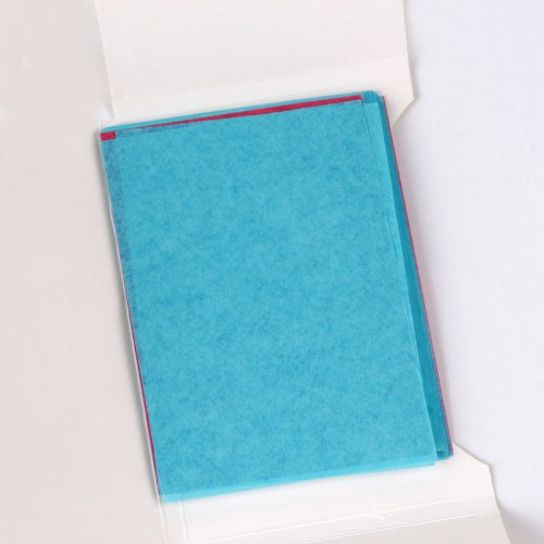 100pcs Facial Oil Control Absorption Film Tissue Makeup Blotting Papers