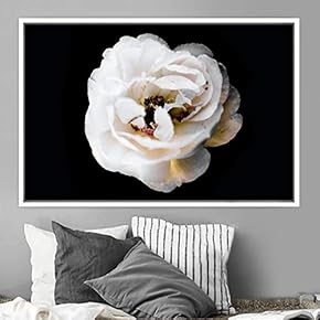 signwin Framed Canvas Wall Art Rose Bohemian Dark...