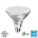 Xtricity LED PAR38 Dimmable Flood Light Bulb, 18.5W (100W Equivalent), Waterproof, 1400 Lumens, 5000k Day Light, 120V, Indoor/Outdoor, Energy Star Certified, UL Listed (4 Pack)