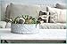 OUTSHINE Galvanized Metal Rustic Tray for Centerpieces countertop Coffee Table Wedding Table Decorations (Galvanized Gold Rim)
