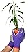 WILDFLOWER Tools Gardening Gloves for Women and Men - Nitrile Coating for Protection (Medium, Purple Pair/Green Pair with White Cuff Hem)