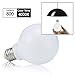 TGMOLD LED Globe Bulbs, 9Watt (60W Equivalent), Vanity Globe Light Bulb Daylight 4000K, Medium Screw Base (E26), Omnidirectional 360 Degrees Angles LED Lamp for Home Lighting, 3Pack (Not Dimmable)