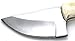 Wild Turkey Handmade Real Camel Bone Handle Fixed Blade Skinner Knife w/Leather Sheath (Bone)