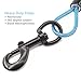 BAAPET 5 Feet Chew Proof Dog Leash with Coated Steel Cable and Soft Padded Handle Dog Leashes for Small, Medium and Large Dogs (Blue)
