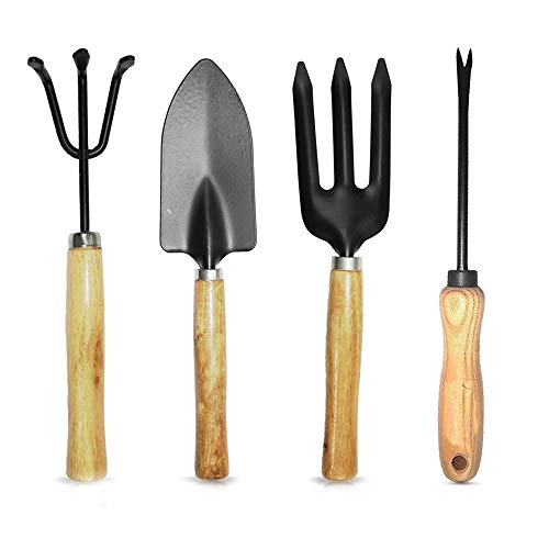 DeoDap 3Pcs Gardening Tools kit for Home | Hand Cultivator | Hand Trowel | Garden Fork | Gardening Set with Smooth Finish, Durable and Sturdy Wooden Handles with Rust Free Material | Set of 3pcs | 1 DeoDap 3Pcs Gardening Tools kit for Home | Hand Cultivator | Hand Trowel | Garden Fork | Gardening Set with Smooth Finish, Durable and Sturdy Wooden Handles with Rust Free Material | Set of 3pcs |