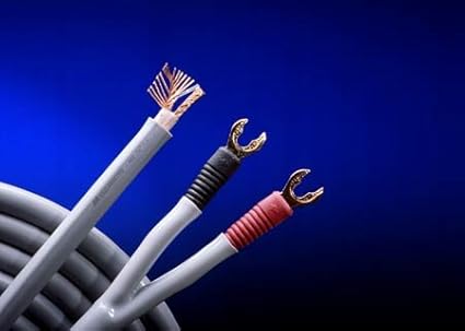 monster m1 speaker cable