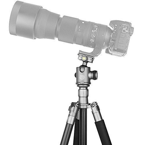 QZSD Q868C Portable Lightweight Carbon Fiber Tripod Monopod Kit 62 inch With 360 Degree Damping Ball Head For Canon Sony Video Camcorder (Sliver)