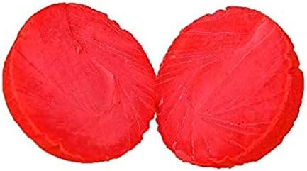 Pet Touch Dog Training High Bounce Solid Ball Doggy Play Balls Hours for Fun for All Dogs and Puppies Solid Rubber Boomer Ball Funny Chew Play Toys (Blue & Orange) - Image 4