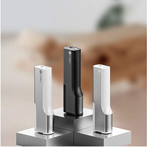 portable printing pen