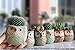 Owl Pots 2.5 Inch,Flowing Glaze Succulent Pots,Owl Planter/Mini Ceramic Pots,Small Flower/Plant/Cactus/Bonsai Container with Hole 6Pack