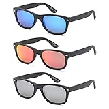 GAMMA RAY CHEATERS Best Value Polarized UV400 Wayfarer Style Sunglasses with Mirror Lens and Multi Pack Options