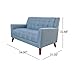 Christopher Knight Home GDFStudio Christopher Knight Home Alisa Mid Century Modern Fabric Loveseat, Blue