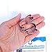 Sweet Cookie Crumbs Mini Rabbit Cookie Cutter- Stainless Steel