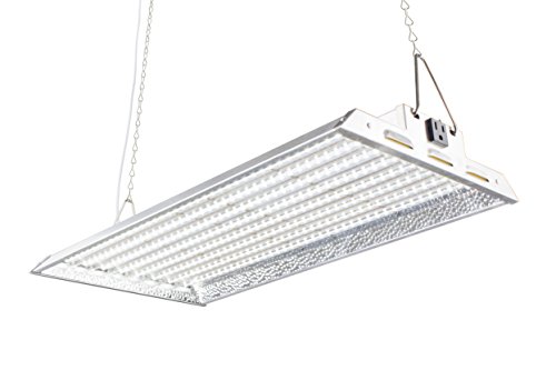 DuroLux DLED828W LED Grow Light | 2 Feet by 1 foot Real 100W LED with White 5500K FullSun Spectrum and 20000 Lux Great for Seeding and Veg Growing! Over 50% Energy Saving!