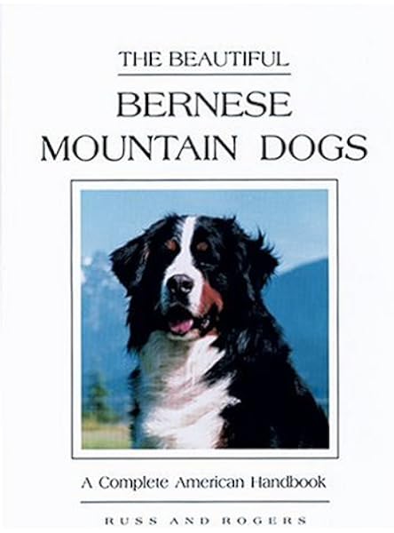 american mountain dog