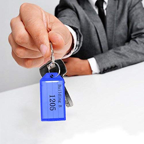 Key Tags,MEZOOM 50 Pcs Assorted Colours Key Ring Tags Holder Key Fobs ID Luggage Labels with Stainless Steel Rope and Metal Key Tool