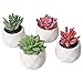 AmyHomie 15 Bundles Artificial Flowers Outdoor UV Resistant Faux Flowers No Fade Fake Plastic Plants Garden Porch Window Box Decorating ( Yellow ), 15pcs (8541836554)