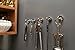 NEO Magnetics Neodymium Magnetic Hooks Stainless Steel, N50 Pack of 5, 1