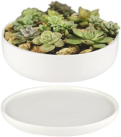 Flower Pot, Fristype Modern White Ceramic Round Designer Succulent Planter Decorative Flower Holder Bowl-7.88 inch