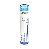Boiron Homeopathic Medicine Arnica Montana, 6C Pellets, 80 Count Tube