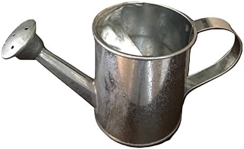 Small Metal Galvanized Watering Can (7.5"Wx3.5"T)