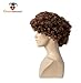 70s Brown Afro Disco Wig Costume Brothers Dustin Seth Costume Wig Costume Accessory - One Size