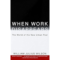 When Work Disappears: The World of the New Urban Poor book cover