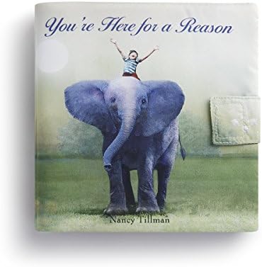 DEMDACO You're Here For A Reason Elephant Sage Sunrise Children's Plush Soft Book Toy