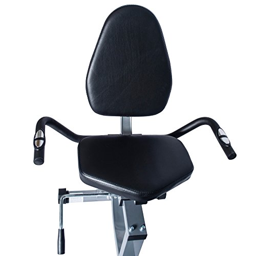 EFITMENT Magnetic Recumbent Bike Exercise Bike with High Weight Capacity, Easy Adjustable Seat, LCD Monitor with Pulse and Phone Holder - RB034