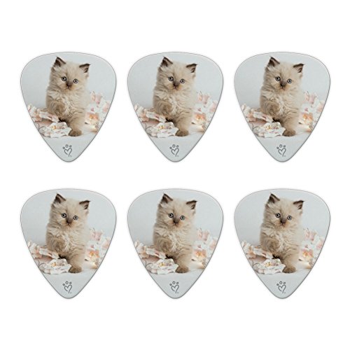 Miradoll Ragdoll Cat Kitten Flowers Novelty Guitar Picks Medium Gauge - Set of 6