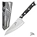 Zelite Infinity 4.5 Inch Honesuki Boning Knife - Japanese AUS-10 Super Steel 67-Layer Damascus Blade; Chef & Fillet Knife - Luxurious Gift Box