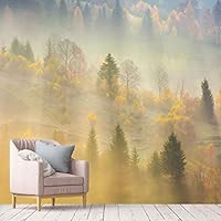 Wall Mural Foggy Forest Removable Self-Adhesive Wallpaper Wall Decoration for Bedroom Living Room - 66x96 inches
